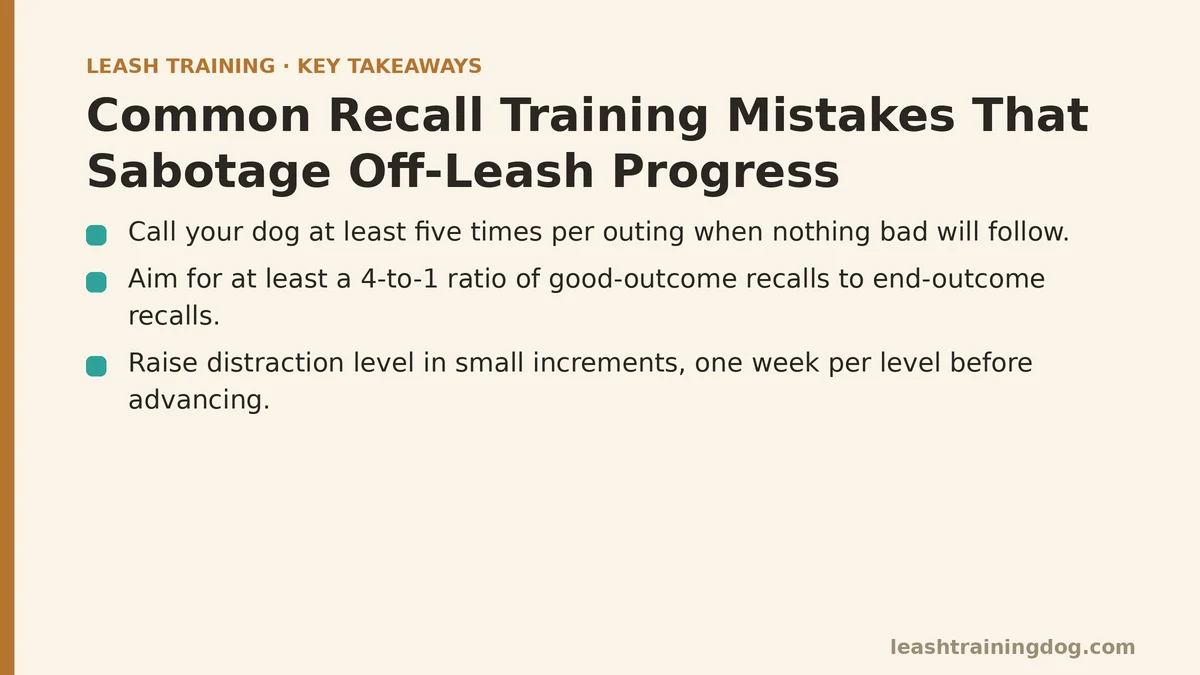 Common Recall Training Mistakes That Sabotage Off-Leash Progress